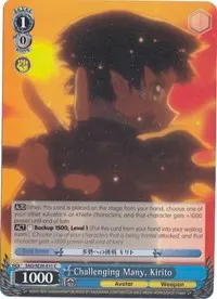 Challenging Many Kirito Parallel Foil (Sword Art Online II Vol.2)
