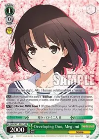 Developing Duo Megumi SR (Saekano How to Raise a Boring Girlfriend. flat)