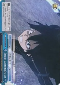Dual wielding User (Sword Art Online)