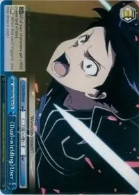 Dual wielding User TD (Sword Art Online)