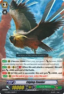 Edging Condor (G-CHB02: We ARE!!! Trinity Dragon)