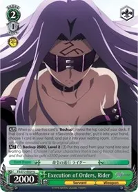 Execution of Orders Rider (Fate/stay night [Heaven’s Feel] Vol.2)