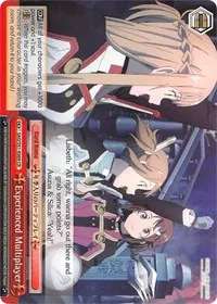 Experienced Multiplayer (Sword Art Online The Movie: -Ordinal Scale-)