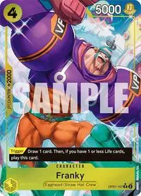Franky Parallel (500 Years in the Future)