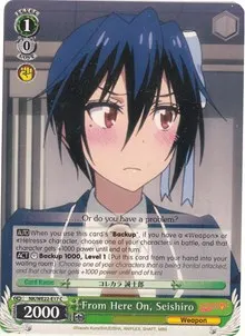 From Here On Seishiro (NISEKOI Extra Booster)