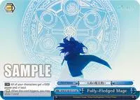 Fully Fledged Mage (Frieren: Beyond Journey’s End)
