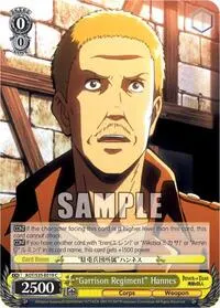 Garrison Regiment Hannes (Attack on Titan)