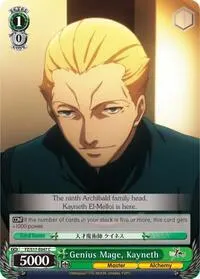 Genius Mage Kayneth (Fate/Zero)