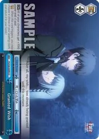 Granted Wish (Fate/stay night [Unlimited Blade Works] Vol. II)