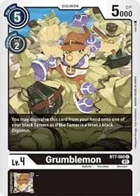 Grumblemon (Next Adventure)