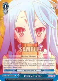 Intrinsic Genius (No Game No Life)