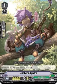 Larkaro Squire (V-EB14: The Next Stage)