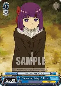 Learning Mage Fern (Frieren: Beyond Journey’s End)