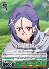 Leveling Up Together Mito (Sword Art Online Animation 10th Anniversary)