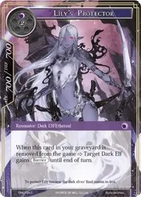 Lilys Protector (The Time Spinning Witch)