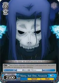 Many but One Assassin (Fate/Zero)
