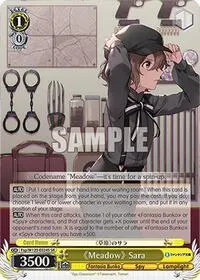 Meadow Sara SR (Fujimi Fantasia Bunko Vol.2)