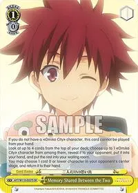 Memory Shared Between the Two SR (Ayakashi Triangle)