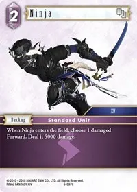 Ninja (Opus VI)
