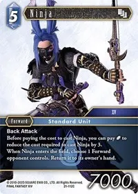 Ninja (Beyond Destiny)