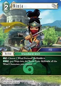 Ninja FFEX (Opus XII)