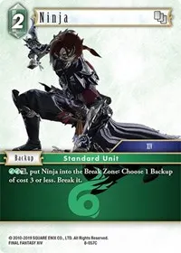 Ninja XIV (Opus VIII)