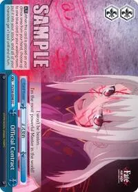 Official Contract (Fate/stay night [Unlimited Blade Works] Vol. II)