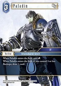 Paladin (Beyond Destiny)
