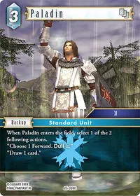 Paladin (Tears of the Planet)
