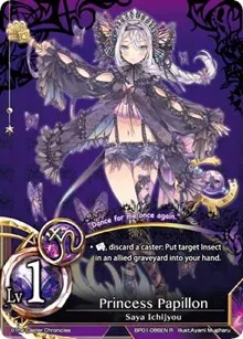 Princess Papillon (The Magic Battle Begins)