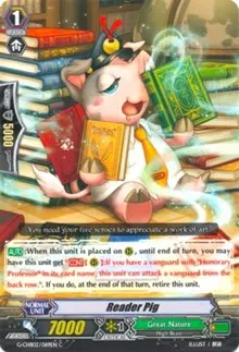 Reader Pig (G-CHB02: We ARE!!! Trinity Dragon)
