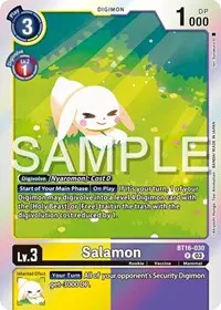 Salamon (Beginning Observer)