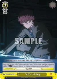 Self training TD (Fate/stay night [Unlimited Blade Works])
