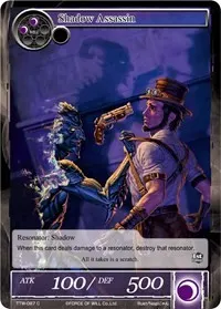 Shadow Assassin (The Twilight Wanderer)