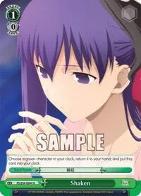 Shaken (Fate/stay night [Unlimited Blade Works] Vol. II)