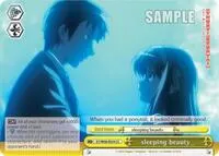 sleeping beauty_ (The Melancholy of Haruhi Suzumiya)