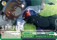 Sleeping Like A Cat (The Fruit of Grisaia)