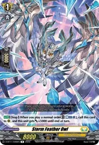 Storm Feather Owl (D-BT11: Clash of the Heroes)