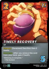Timely Recovery (Challenger Series: Solo Leveling)