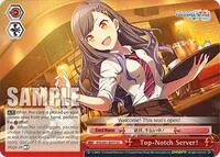 Top Notch Server (HATSUNE MIKU: COLORFUL STAGE!)