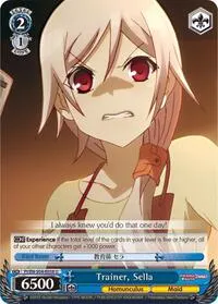 Trainer Sella (Fate/kaleid liner PRISMA ILLYA DX)
