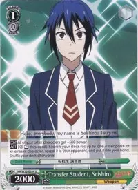 Transfer Student Seishiro (NISEKOI -False Love-)