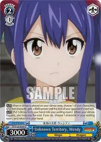 Unknown Territory Wendy (FAIRY TAIL 100 YEARS QUEST)