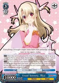 Usual Scenery Illya (Fate/kaleid liner PRISMA ILLYA DX)