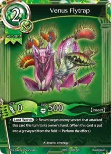 Venus Flytrap (The Magic Battle Begins)