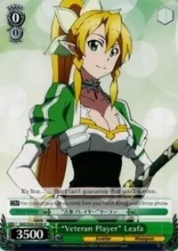 Veteran Player Leafa (Sword Art Online Vol.2)