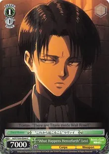 What Happens Henceforth Levi (Attack on Titan Vol. 2)