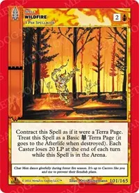 Wildfire (Wilderness: First Edition)