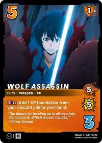 Wolf Assassin (Challenger Series: Solo Leveling)