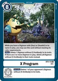 X Program (X Record)